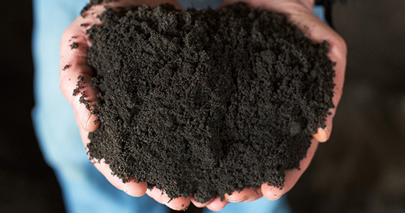 #1 Topsoil
